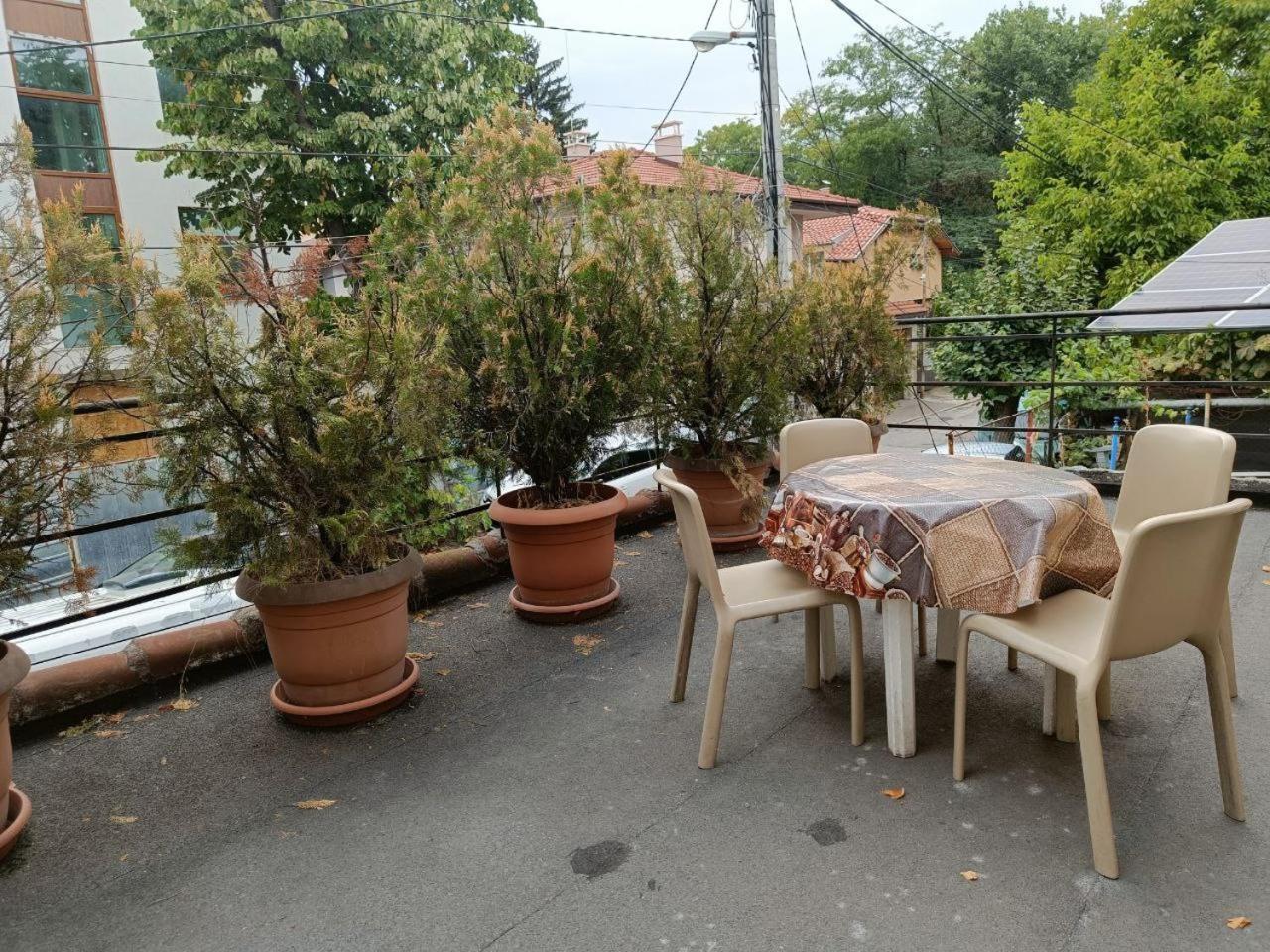 10 Coins Hostel & Tours Софія Екстер'єр фото